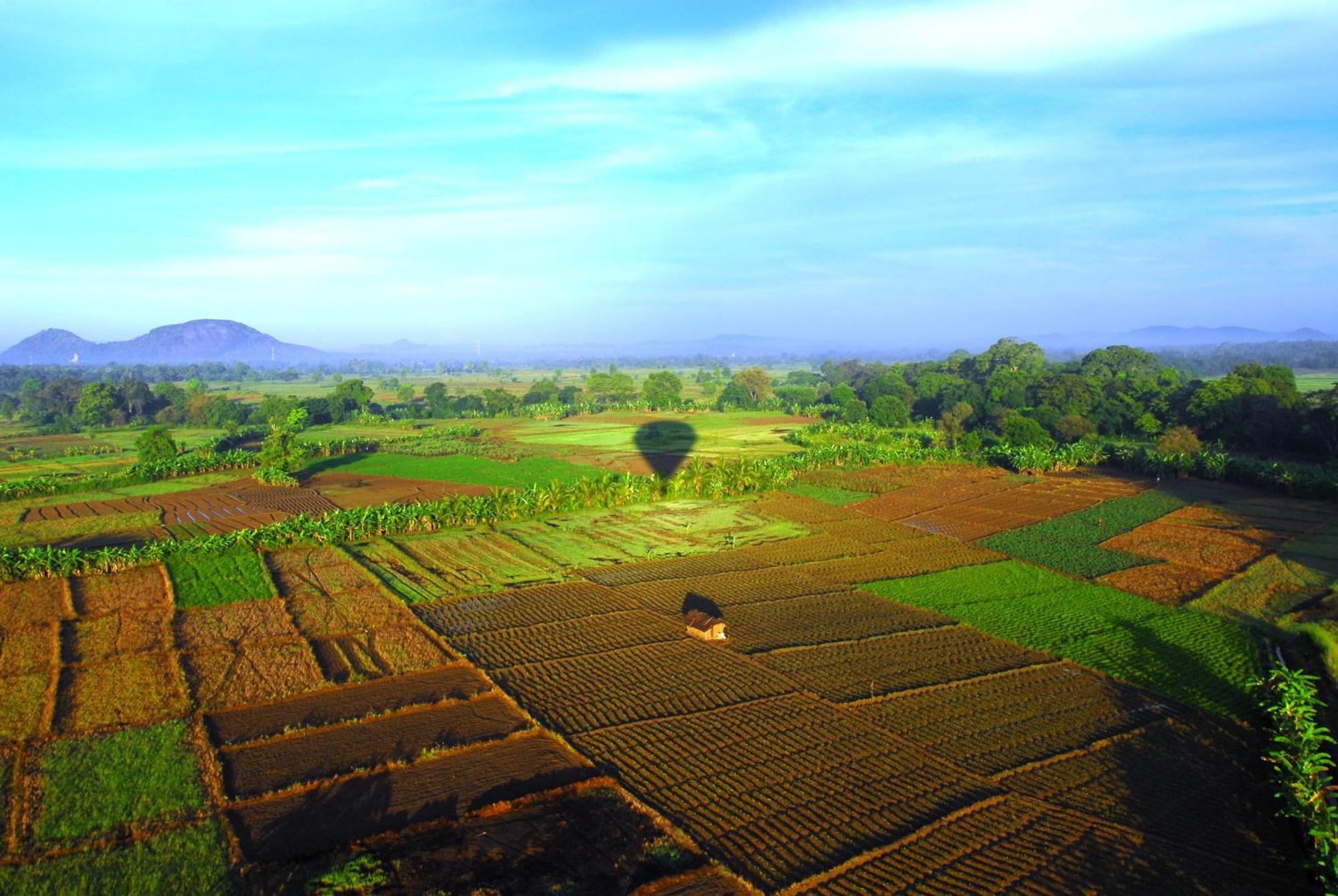 Richwin Villa Dambulla Esterno foto